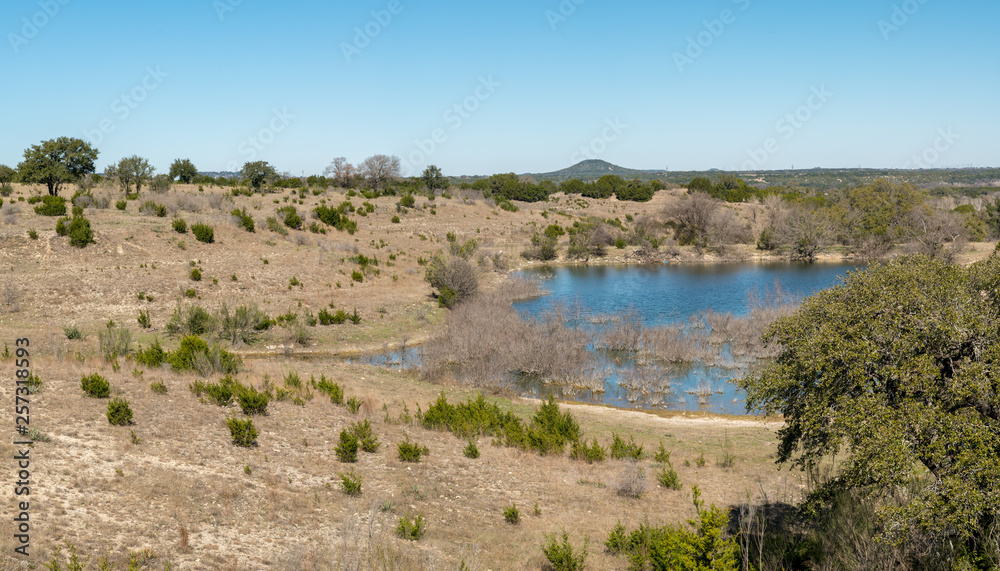 View of Dry Trees inside Large Lake With Rock Formation in the background
