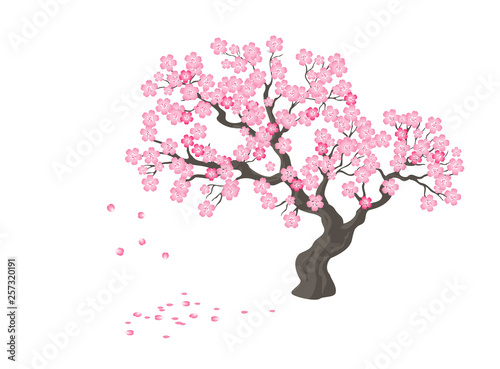 Spring sakura tree with pink flowers