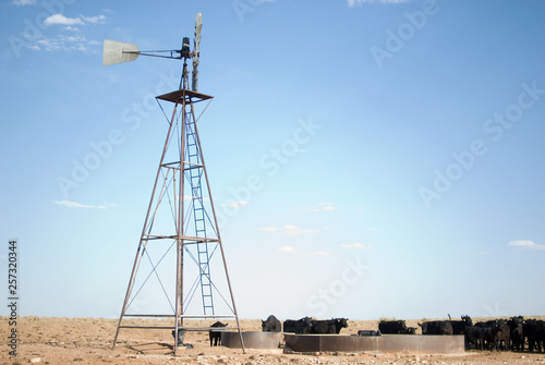 Windmill