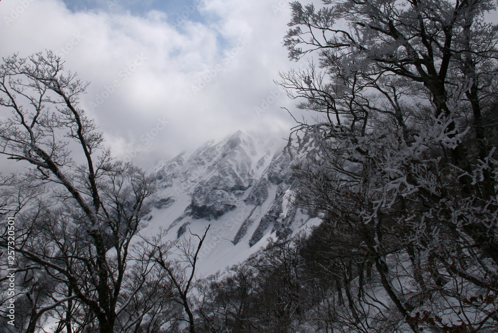 中国地方最高峰 雪の大山 山頂への道 中国地方最高峰 雪の大山 山頂への道
