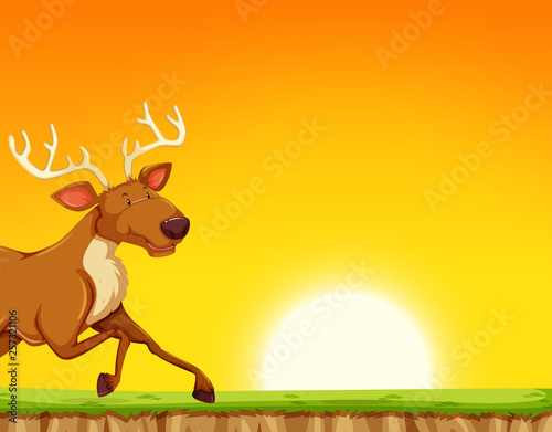 reindeer running past sunset