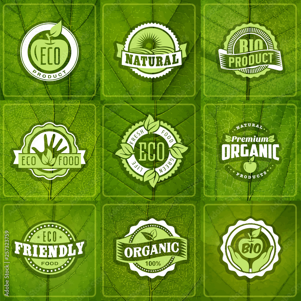 Organic natural eco food labels logo set