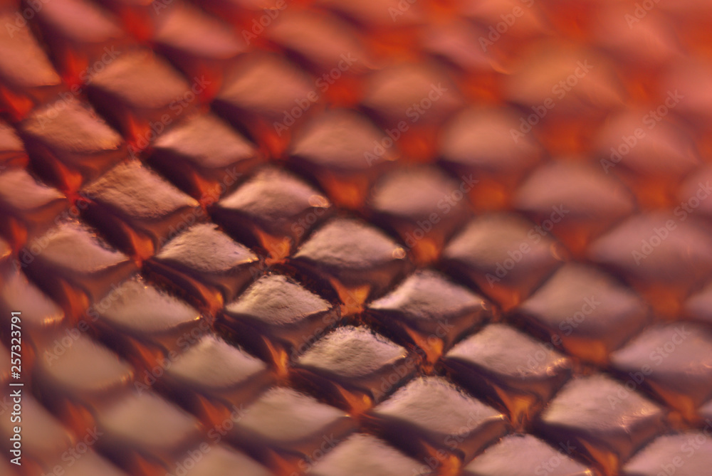 Blurred snake skin background. Bokeh. Holographic texture. Blurred snake skin background. Bokeh. Holographic texture.
