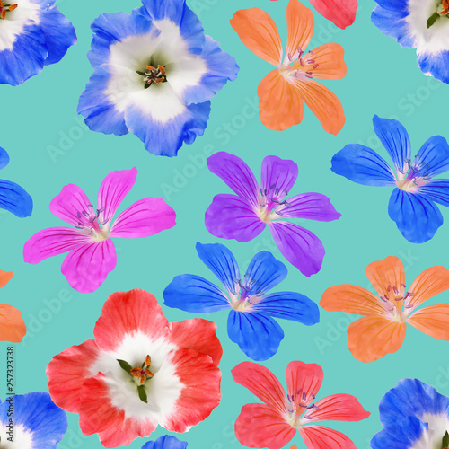 Geranium  pelargonium. Seamless pattern texture of flowers. Floral background  photo collage