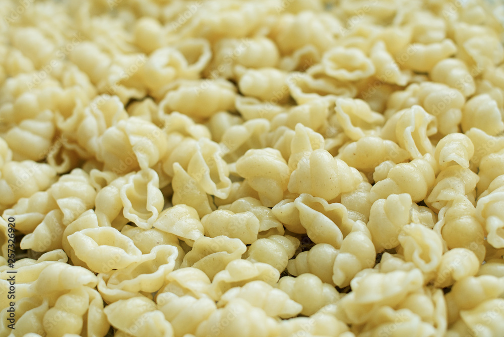 boiled pasta, cooked without anything, pasta background, food for children boiled pasta, cooked without anything, pasta background, food for children