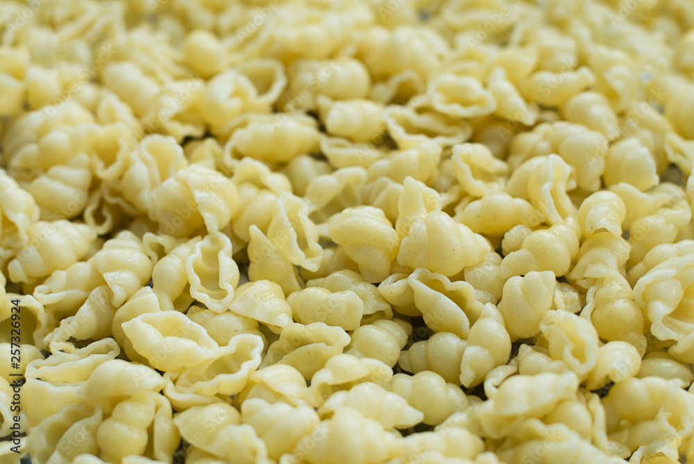 boiled pasta, cooked without anything, pasta background, food for children boiled pasta, cooked without anything, pasta background, food for children