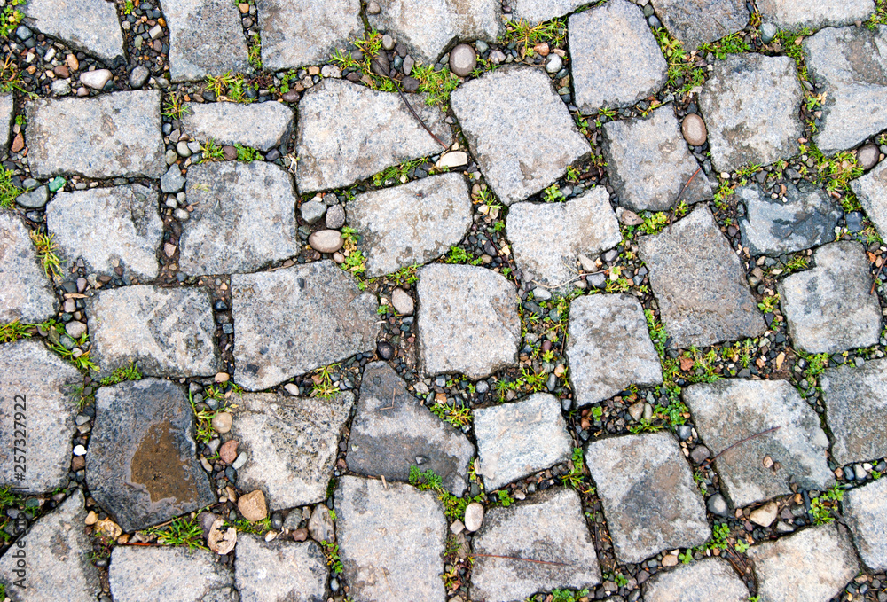 Obraz premium cobblestone pavement texture background