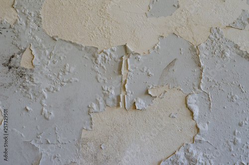 Moisture and mildew wall plaster filler