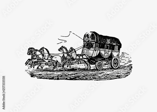 Horse carriage vintage drawing