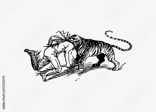 Tiger attacking a man
