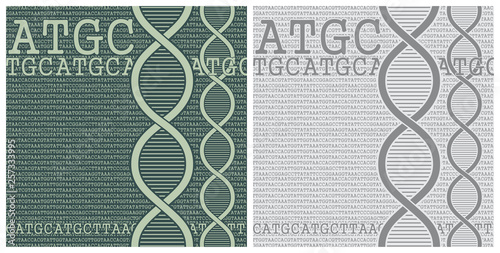 Double Helix of DNA and Nucleic Bases background