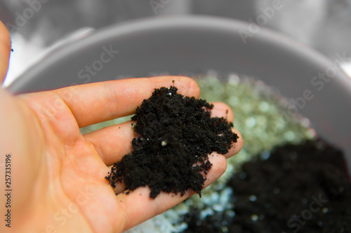 Soil in the hands of a man. Soil growing cannabis. A mixture of earth, perlite and vermiculite. The concept of growing medical cannabis in the doore indoor. Substrate for marijuana. Close up. photo