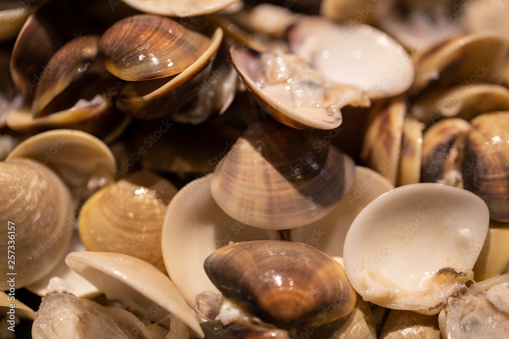 shellfish, seashells at night food market in Thailand shellfish, seashells at night food market in Thailand