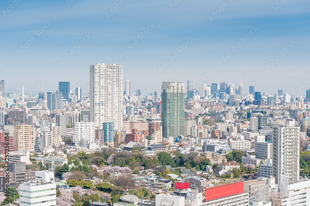 Aerial photography , Cityscape overlooking Tokyo, Japan