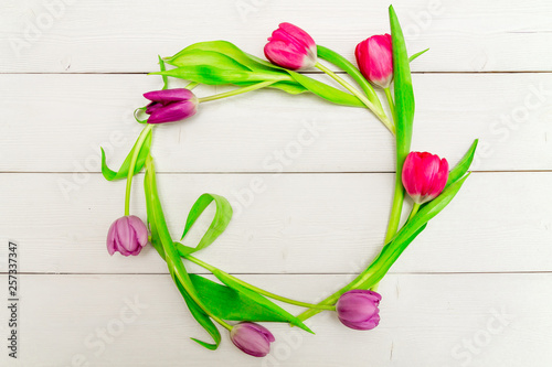 Fototapeta Naklejka Na Ścianę i Meble -  Beautiful red and pink tulips on white background with space for text and congratulations. Top view, flat lay.