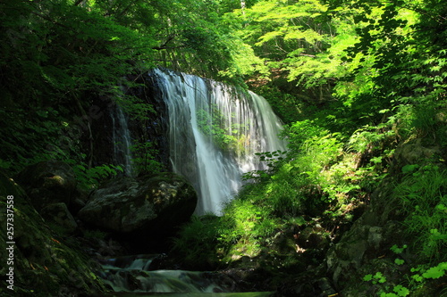 夏の滝
