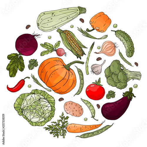 Poster with circle made with hand drawn vegetables on a white background.