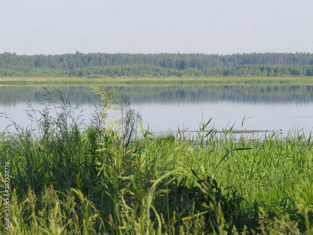 lake lake