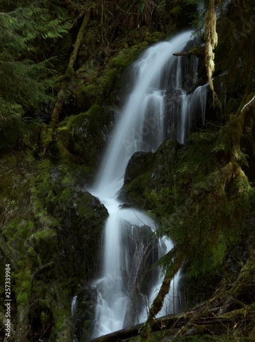 Waterfall in the Forest