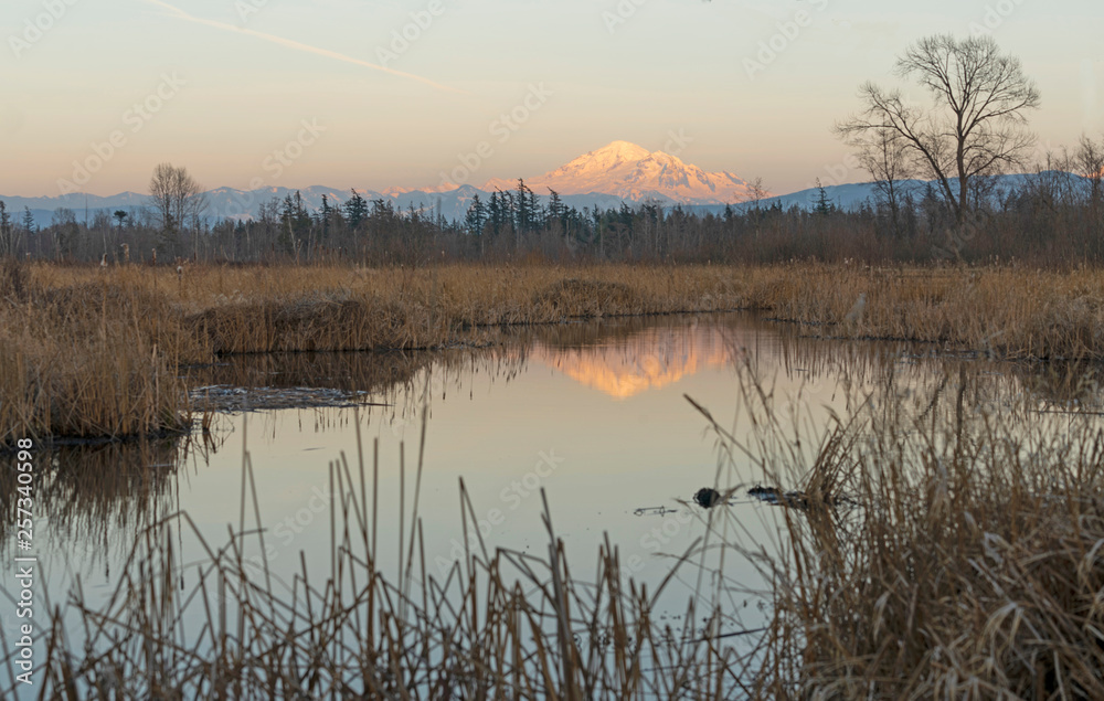 Fototapeta premium Mount Baker Over Tennant Lake at Sunset Washington State