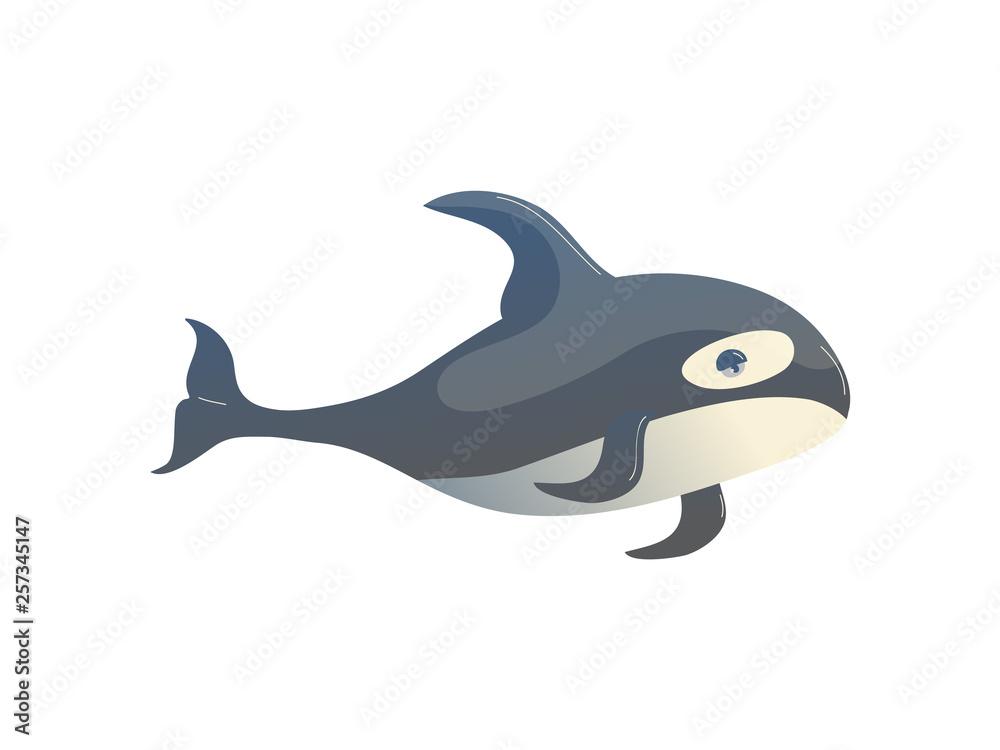 Fototapeta premium Cartoon killer whale on white background. Water life.