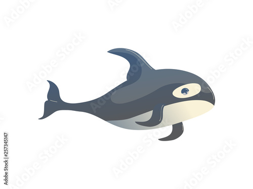 Cartoon killer whale on white background. Water life.