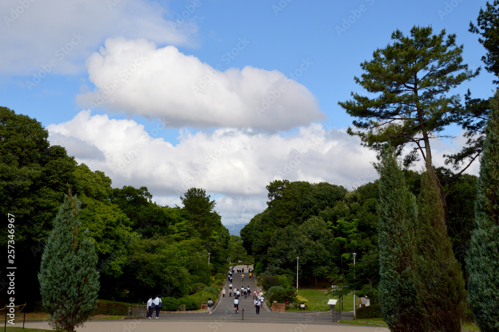 夏の朝、通学する生徒や散歩する人で賑わう公園の遊歩道の上空に夏雲が浮かんでいる風景 夏の朝、通学する生徒や散歩する人で賑わう公園の遊歩道の上空に夏雲が浮かんでいる風景