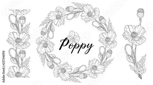Vegetable vector set of flower of poppy. Round frame. Poppy flowers.