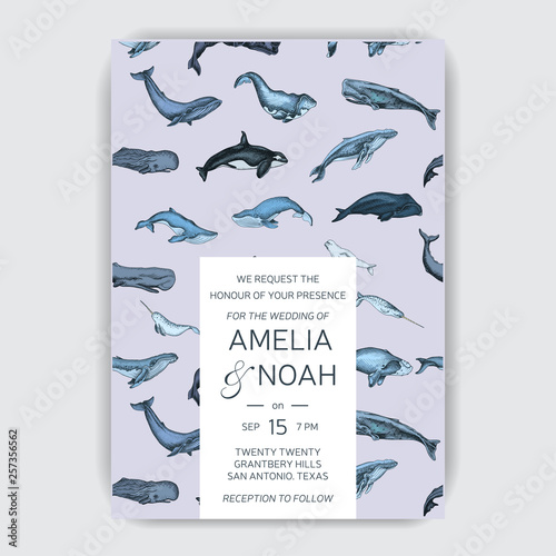 Wedding Card with whale. Colorful vector illustration with wildlif animals. Save the date invitation.