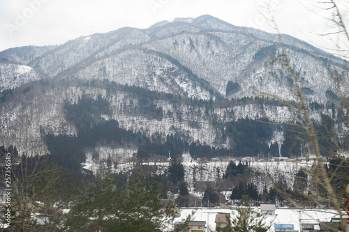 The mountains in winter are covered with snow and white fog. The tree begins to change color to brown.