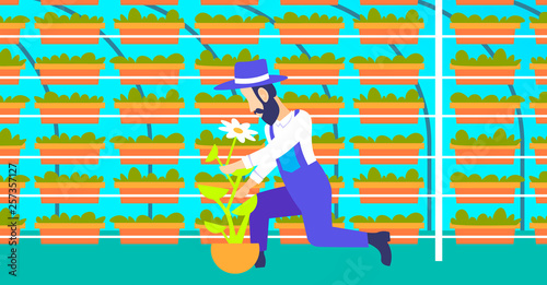 bearded gardener planting young flower in greenhouse garden farm interior organic gardening concept male cartoon character full length flat horizontal