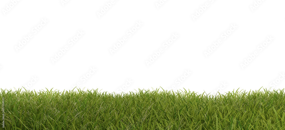 green grass meadow blades of grass 3d-illustration green grass meadow blades of grass 3d-illustration