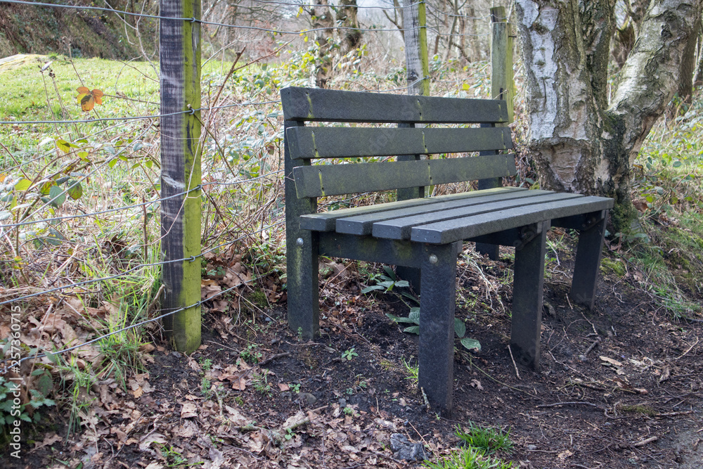 Wooden park bench in semi woodland setting for public seating rest area
