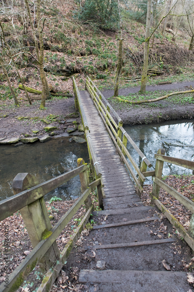 Wooden bridge forming part of a public trail through a woodland forrest crossing a stream Wooden bridge forming part of a public trail through a woodland forrest crossing a stream