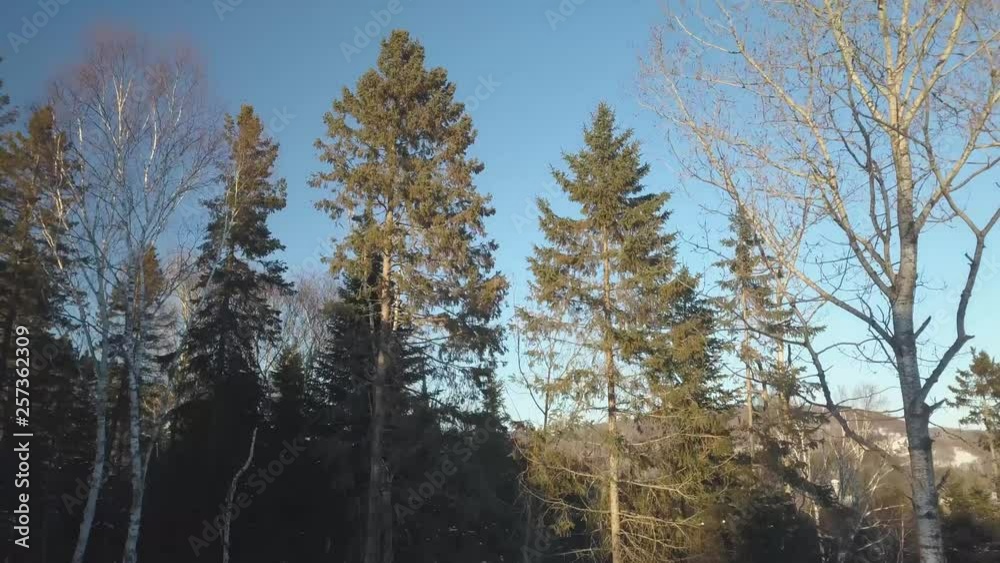 Flying drone shot revealing lake view over the treetops and mountains in the background Flying drone shot revealing lake view over the treetops and mountains in the background