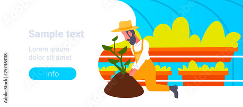 bearded gardener planting young plant in greenhouse garden vertical farm interior organic gardening concept male cartoon character full length flat horizontal copy space