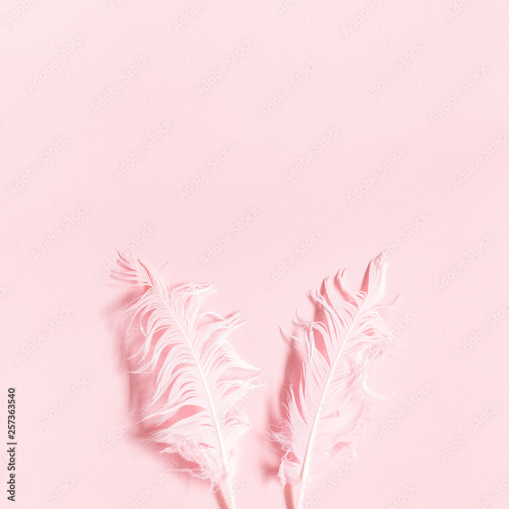 Easter composition. Rabbit ears made of feathers on pastel pink background. Flat lay, top view, copy space, square