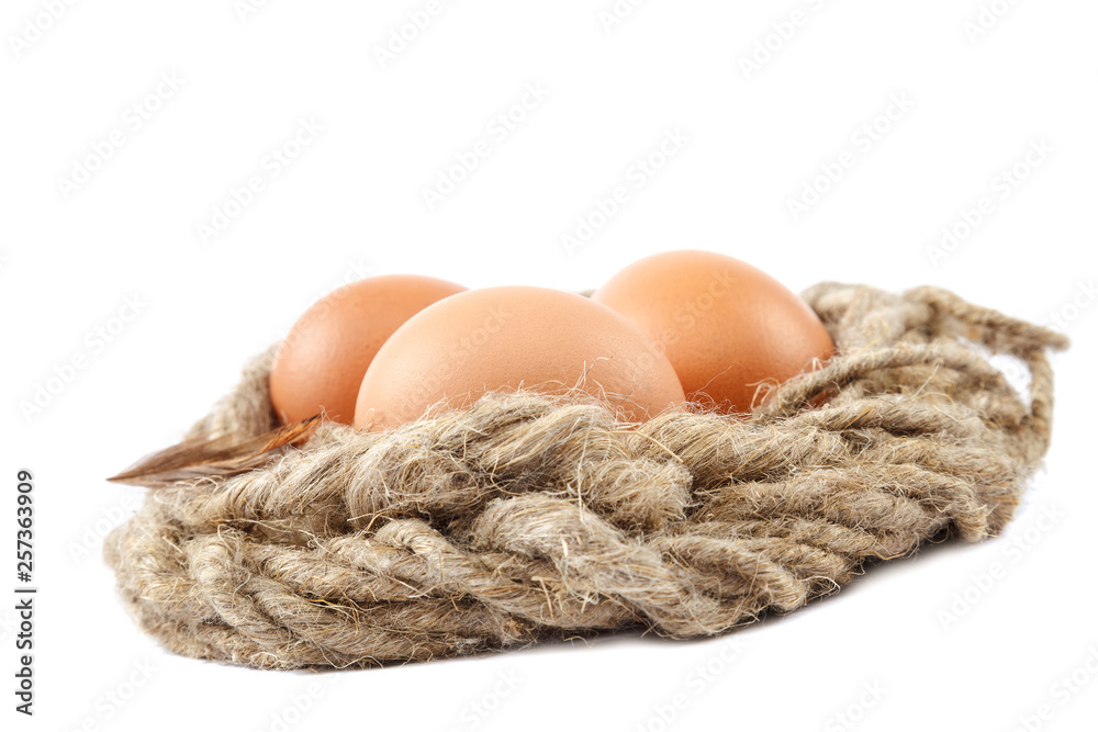 Chicken eggs in a canvas on white background Chicken eggs in a canvas on white background