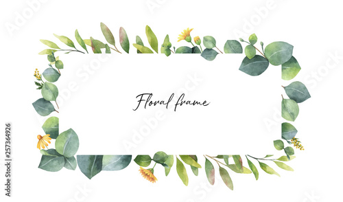 Watercolor vector wreath with green eucalyptus leaves and flowers .