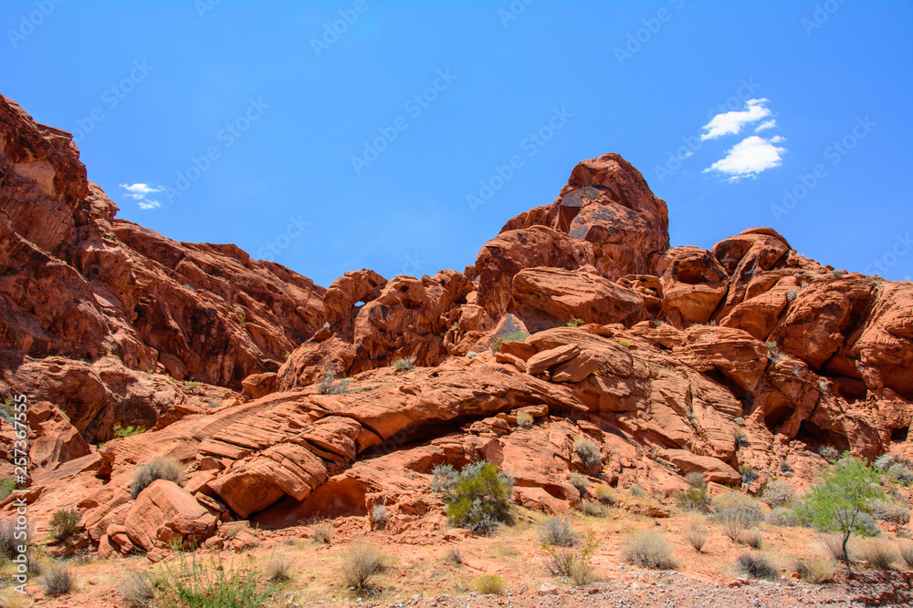 Fototapeta premium Valley of fire, Nevada USA.