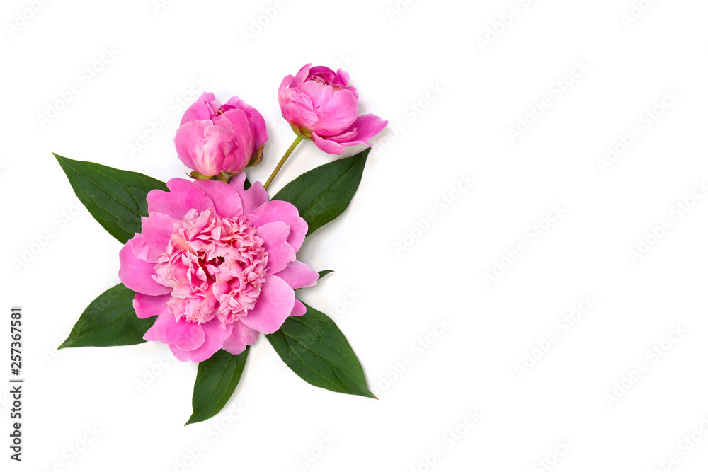 Bouquet of pink peonies on a white background. Top view, flat lay