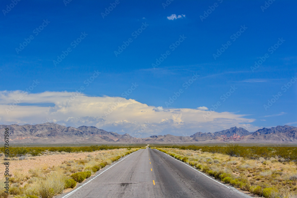 Straight road disappearing into the distance in a national park Death Valley California Straight road disappearing into the distance in a national park Death Valley California