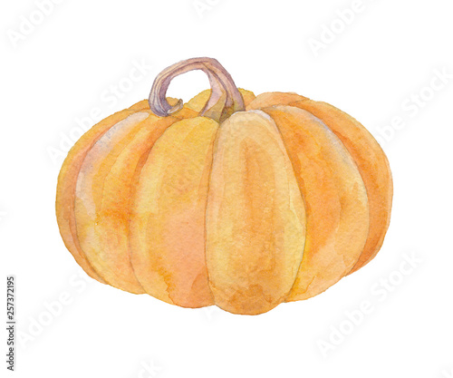 Orange pumpkin. Watercolor illustration. 
