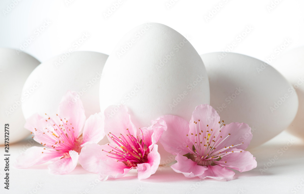 white eggs with peach flowers on white background