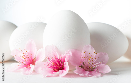 white eggs with peach flowers on white background