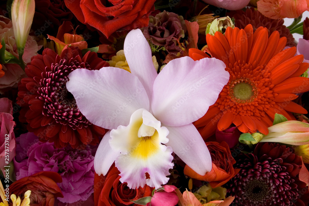 花 花