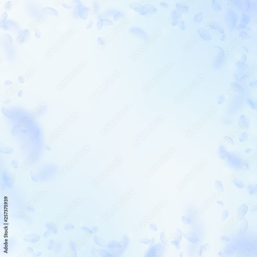 Light blue flower petals falling down. Classy roma Light blue flower petals falling down. Classy roma