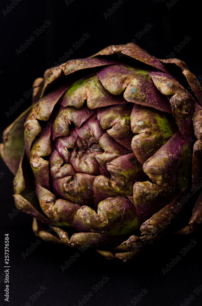 fresh purple artichokes on black background fresh purple artichokes on black background