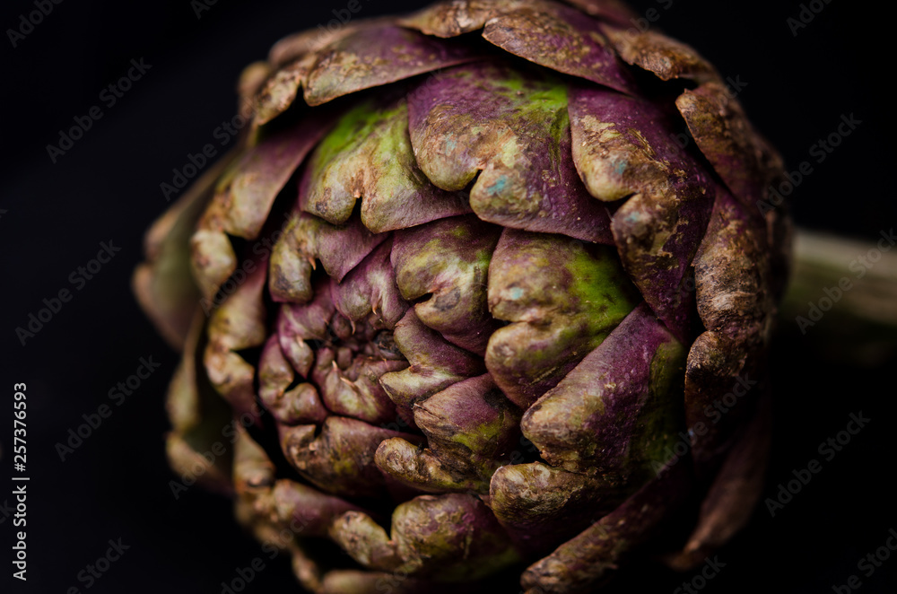fresh purple artichokes on black background fresh purple artichokes on black background