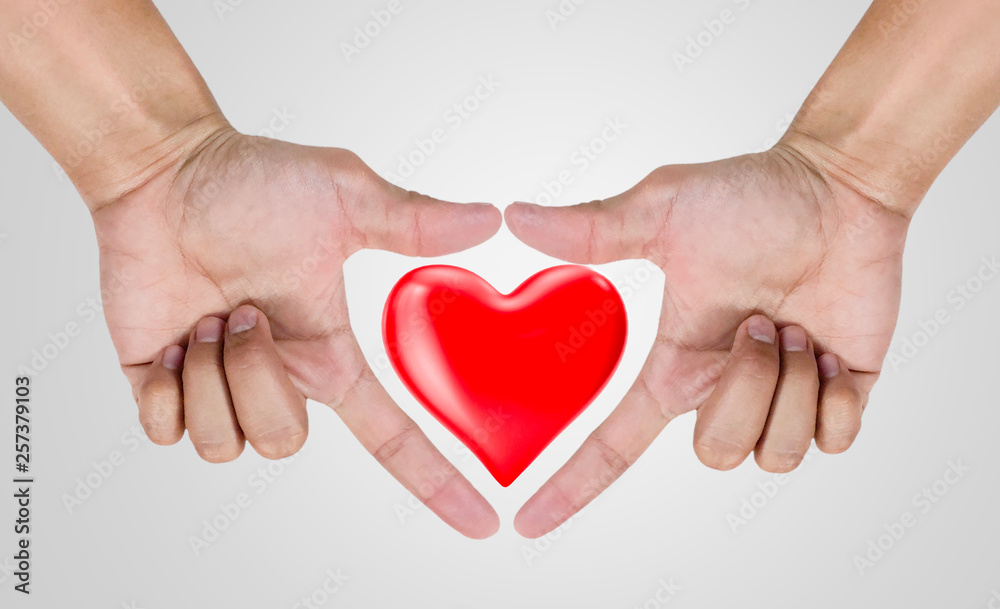 hands holding heart